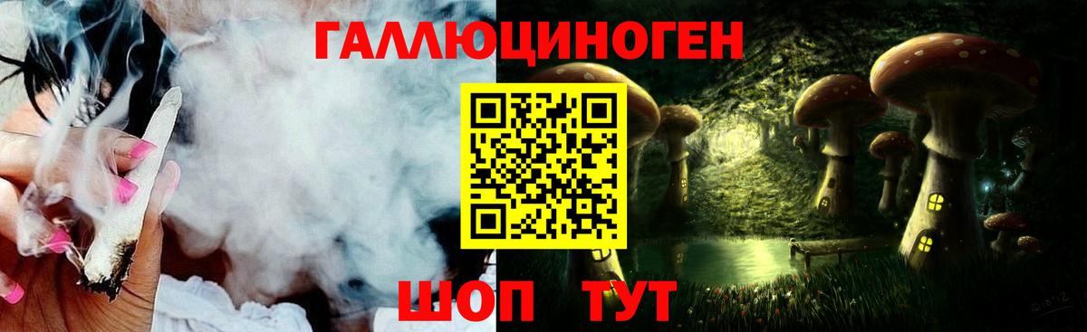 Псилоцибиновые грибы Psilocybe  Псилоцибиновые грибы мухоморы  Вход с VPN  Евпатория 